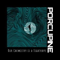 Porcupine - Our Chemistry Is A Tightrope i gruppen VI TIPSAR / Fredagsreleaser / Fredag den 3:e Maj 2024 hos Bengans Skivbutik AB (5538946)