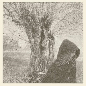 Lankum - Between The Earth And Sky i gruppen CD / Pop-Rock hos Bengans Skivbutik AB (5539339)