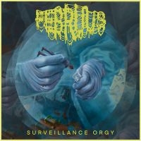Februus - Surveillance Orgy (Digipack) i gruppen CD / Hårdrock hos Bengans Skivbutik AB (5539502)