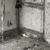 Khanate - Clean Hands Go Foul i gruppen VINYL / Hårdrock hos Bengans Skivbutik AB (5539731)