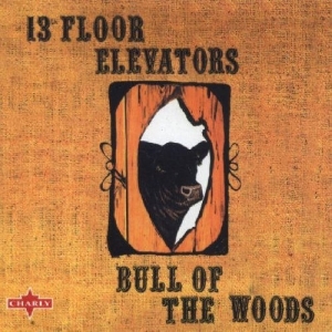 13Th Floor Elevators - Bull Of The Woods i gruppen CD / Pop-Rock hos Bengans Skivbutik AB (5539749)