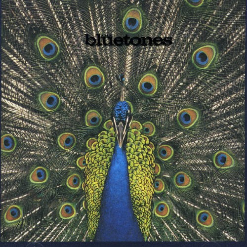 Bluetones - Expecting To Fly i gruppen ÖVRIGT / Övrigt / aub hos Bengans Skivbutik AB (554304)