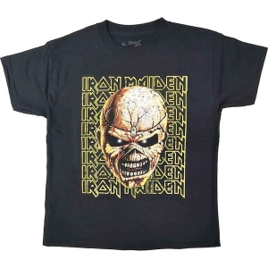 Iron Maiden - Big Trooper Head Boys T-Shirt Bl i gruppen MERCHANDISE / Merch / Nyheter / Hårdrock hos Bengans Skivbutik AB (5548728r)