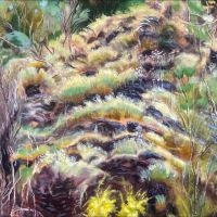 Swim Surreal - In The Half Light i gruppen VI TIPSAR / Fredagsreleaser / Fredag den 21:a Juni 2024 hos Bengans Skivbutik AB (5549542)