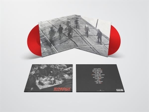 Jungle By Night - Synergy i gruppen ÖVRIGT / Övrigt / aub hos Bengans Skivbutik AB (5550100)