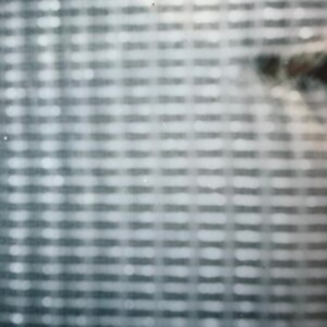 Wild Pink - Strawberry Eraser (