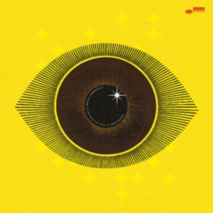 Meshell Ndegeocello - No More Water: The Gospel Of James i gruppen VI TIPSAR / Årsbästalistor 2024 / Årsbästa Morgan hos Bengans Skivbutik AB (5551021)