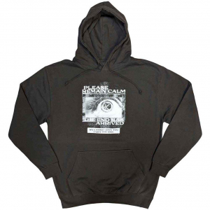 Bring Me The Horizon - Remain Calm Fp Uni Grey Hoodie  i gruppen ÖVRIGT / Övrigt / aub hos Bengans Skivbutik AB (5552115r)