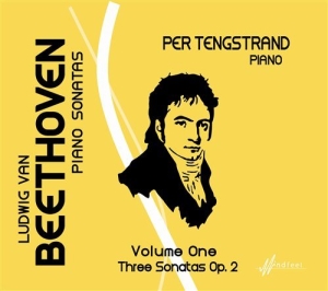 Beethoven Ludwig Van - The Complete Piano Sonatas Vol. 1 i gruppen Externt_Lager / Naxoslager hos Bengans Skivbutik AB (555255)