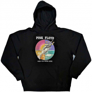 Pink Floyd - Wywh Circle Icons Uni Bl Hoodie  i gruppen ÖVRIGT / Övrigt / aub hos Bengans Skivbutik AB (5553932r)