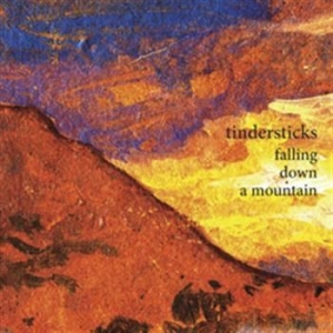 Tindersticks - Falling Down A Mountain i gruppen CD / Pop hos Bengans Skivbutik AB (555449)