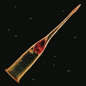 Leprous - Melodies Of Atonement i gruppen ÖVRIGT / Övrigt / aub hos Bengans Skivbutik AB (5555707)