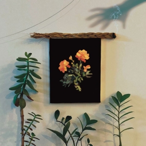 Why? - The Well I Fell Into (Coke Bottle C i gruppen VI TIPSAR / Fredagsreleaser / Fredag den 2:e augusti hos Bengans Skivbutik AB (5556071)