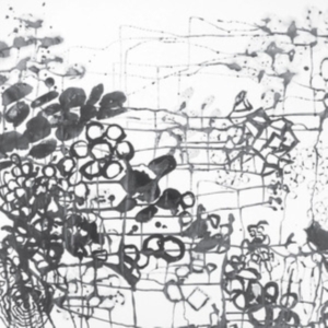 London Frank - Brass Conspiracy i gruppen VI TIPSAR / Fredagsreleaser / Fredag den 16:e augusti hos Bengans Skivbutik AB (5556527)