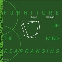 Black Diamond - Furniture Of The Mind Rearranging i gruppen VI TIPSAR / Fredagsreleaser / Fredag den 26:e Juli 2024 hos Bengans Skivbutik AB (5556554)