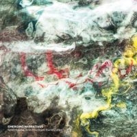 Husebokjetil - Emerging Narratives i gruppen VI TIPSAR / Fredagsreleaser / Fredag den 27:e september 2024 hos Bengans Skivbutik AB (5557514)