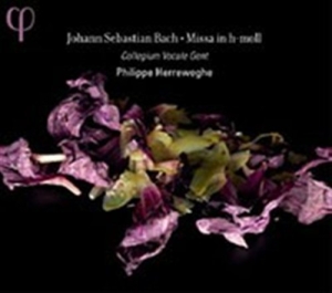 Johann Sebastian Bach - Mass In B Minor i gruppen Externt_Lager / Naxoslager hos Bengans Skivbutik AB (555845)