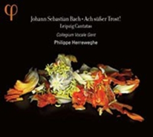 Bach J S - Ach Susser Trost - Leipzig Cantatas i gruppen Externt_Lager / Naxoslager hos Bengans Skivbutik AB (555849)