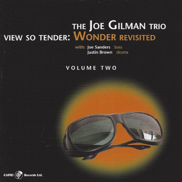 Joe Gilman - View So Tender: Wonder Revisited Vo i gruppen CD / Toppsäljare hos Bengans Skivbutik AB (5559084)