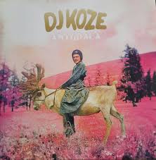 Dj Koze - Amygdala i gruppen VINYL / Elektroniskt,Pop-Rock hos Bengans Skivbutik AB (5560449)