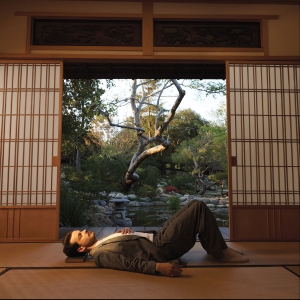 Rex Orange County - The Alexander Technique i gruppen CD / Pop-Rock hos Bengans Skivbutik AB (5560867)