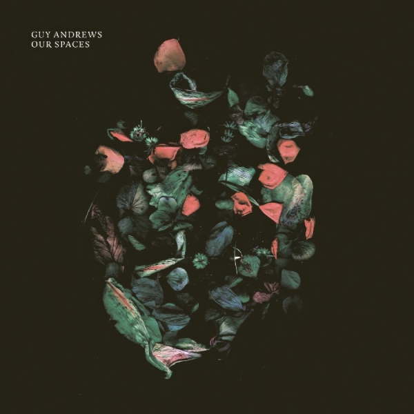 Andrews Guy - Our Spaces i gruppen VINYL / Toppsäljare hos Bengans Skivbutik AB (5561044)