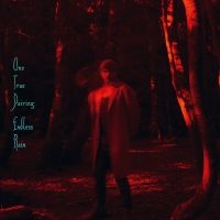 One True Pairing - Endless Rain i gruppen VINYL / Pop-Rock hos Bengans Skivbutik AB (5561977)