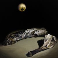 Solen Skinner - The Lathering i gruppen VI TIPSAR / Fredagsreleaser / Fredag den 11:e oktober 2024 hos Bengans Skivbutik AB (5562424)