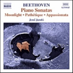 Beethoven Ludwig Van - Piano Sonatos Vol 1 i gruppen CD / Övrigt hos Bengans Skivbutik AB (556356)