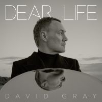David Gray - Dear Life i gruppen CD / Pop-Rock hos Bengans Skivbutik AB (5565980)