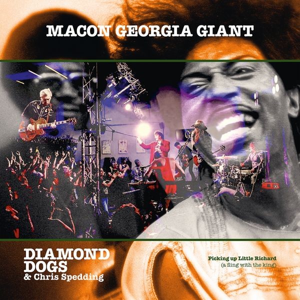 Diamond Dogs & Spedding Chris - Macon Georgia Giant i gruppen CD / Pop-Rock hos Bengans Skivbutik AB (5566000)