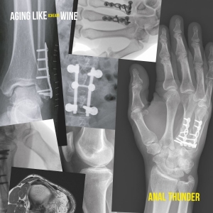 Anal Thunder - Aging Like Cheap Wine i gruppen VI TIPSAR / Fredagsreleaser / Fredag den 4:e oktober 2024 hos Bengans Skivbutik AB (5566750)