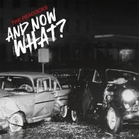 Peacocks The - And Now What? (Coloured Vinyl Lp) i gruppen VI TIPSAR / Fredagsreleaser / Fredag den 22:a november 2024 hos Bengans Skivbutik AB (5566784)