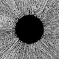 Vola - Witness i gruppen VINYL / Pop-Rock hos Bengans Skivbutik AB (5567347)