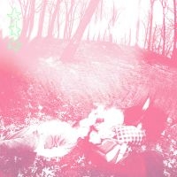 Shower Curtain - Words From A Wishing Well i gruppen VI TIPSAR / Fredagsreleaser / Fredag den 22:a november 2024 hos Bengans Skivbutik AB (5568080)