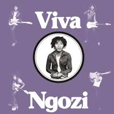 Paul  Ngozi - Viva Ngozi (Opaque Orange Vinyl) (Rsd) i gruppen ÖVRIGT / Övrigt / Artiklar-kommande hos Bengans Skivbutik AB (5568345)