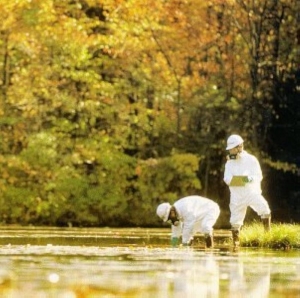 Hedningarna - Hippjokk i gruppen CD / Pop-Rock,Svensk Musik,World Music hos Bengans Skivbutik AB (557087)