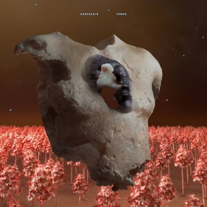 Soap&Skin - Torso i gruppen CD / Pop-Rock hos Bengans Skivbutik AB (5570941)