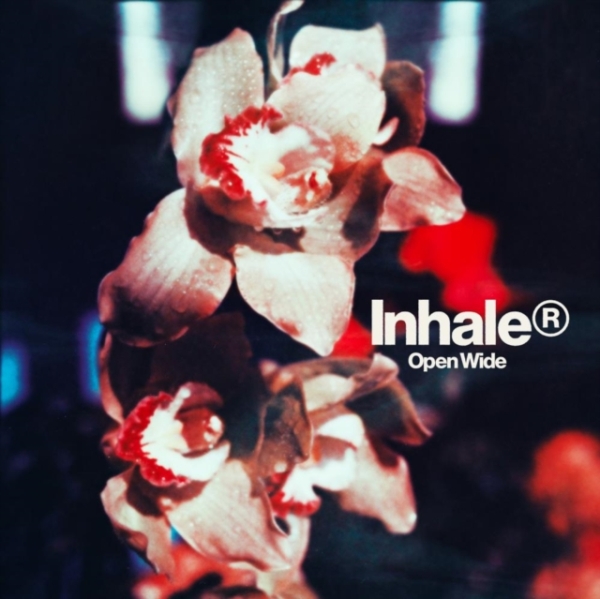 Inhaler - Open Wide i gruppen VINYL / Pop-Rock hos Bengans Skivbutik AB (5571584)