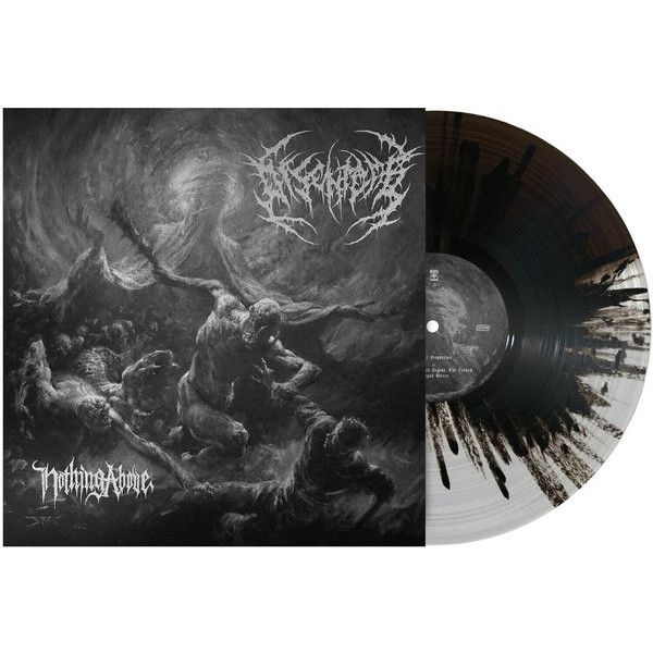 Disentomb - Nothing Above i gruppen VINYL / Hårdrock hos Bengans Skivbutik AB (5572105)