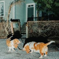 Apulanta - Oire Jostakin (Ep) i gruppen VI TIPSAR / Fredagsreleaser / Fredag den 6:e december 2024 hos Bengans Skivbutik AB (5572494)