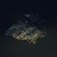 Multicast Dynamics - Lost World [Limited Indie Exclusive i gruppen VINYL / Pop-Rock hos Bengans Skivbutik AB (5572522)