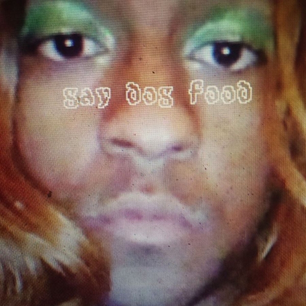 Blanco Mykki - Mykki Blanco Presents Gay Dog Food i gruppen VINYL / Toppsäljare hos Bengans Skivbutik AB (5572539)