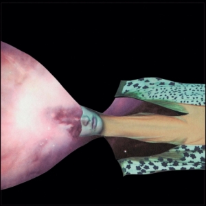 Painted Shield - Painted Shield 2 i gruppen CD / Pop-Rock hos Bengans Skivbutik AB (5573058)