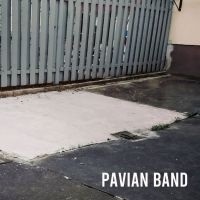 Pavian Band - Pavian Band i gruppen CD / Pop-Rock hos Bengans Skivbutik AB (5573076)