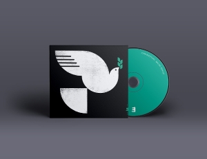 John Patitucci - Spirit Fall i gruppen ÖVRIGT / Övrigt / aub hos Bengans Skivbutik AB (5573209)