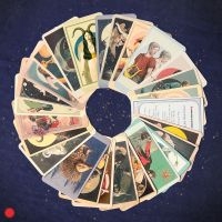 Everything Is Recorded - Porcupine Tattoo Feat Noah Cyrus & i gruppen Minishops / Noah Cyrus hos Bengans Skivbutik AB (5574146)