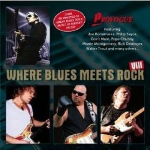Blandade Artister - Where Blues Meets Rock Viii i gruppen CD / Jazz,Pop-Rock hos Bengans Skivbutik AB (557438)