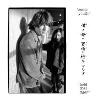Sonic Youth - Hold That Tiger i gruppen VINYL / Toppsäljare hos Bengans Skivbutik AB (5574757)