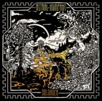 Astral Kompakt - Goldader (Green Vinyl Lp) i gruppen VINYL / Hårdrock hos Bengans Skivbutik AB (5575875)